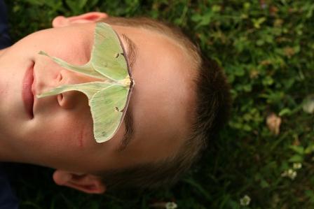 Butterfly readers: 20 ways to make people read your website
